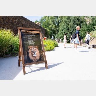 Světový den lvů v Zoo Praha_2026_14