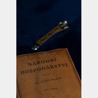 Pracovna A. Rašína_7